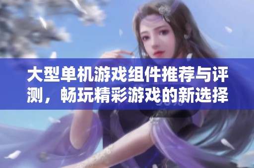 大型单机游戏组件推荐与评测，畅玩精彩游戏的新选择