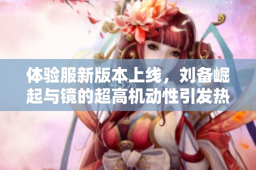 体验服新版本上线，刘备崛起与镜的超高机动性引发热议