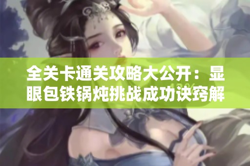 全关卡通关攻略大公开：显眼包铁锅炖挑战成功诀窍解析
