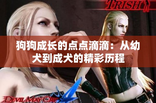 狗狗成长的点点滴滴：从幼犬到成犬的精彩历程