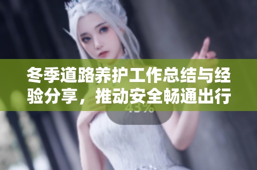 冬季道路养护工作总结与经验分享，推动安全畅通出行