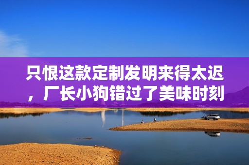 只恨这款定制发明来得太迟，厂长小狗错过了美味时刻