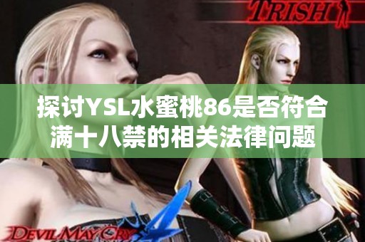 探讨YSL水蜜桃86是否符合满十八禁的相关法律问题