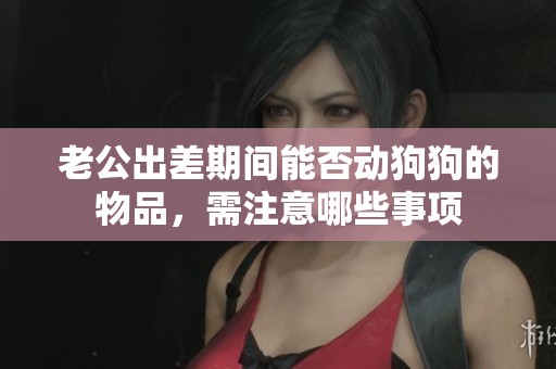 老公出差期间能否动狗狗的物品，需注意哪些事项