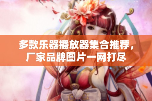 多款乐器播放器集合推荐，厂家品牌图片一网打尽