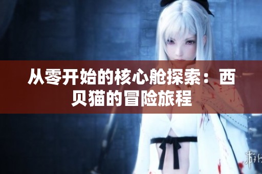 从零开始的核心舱探索：西贝猫的冒险旅程