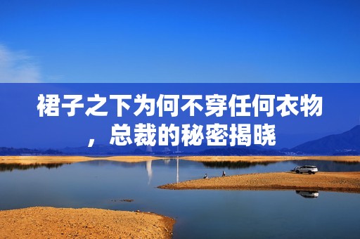 裙子之下为何不穿任何衣物，总裁的秘密揭晓