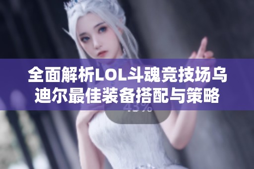 全面解析LOL斗魂竞技场乌迪尔最佳装备搭配与策略