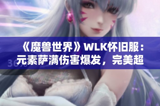 《魔兽世界》WLK怀旧服：元素萨满伤害爆发，完美超级火焰召唤来袭