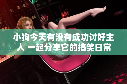 小狗今天有没有成功讨好主人 一起分享它的搞笑日常