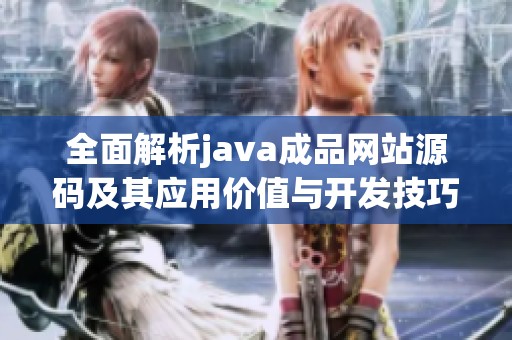 全面解析java成品网站源码及其应用价值与开发技巧