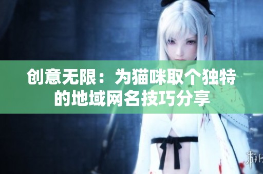 创意无限：为猫咪取个独特的地域网名技巧分享