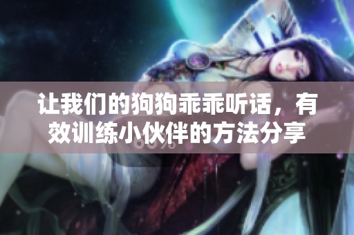 让我们的狗狗乖乖听话，有效训练小伙伴的方法分享