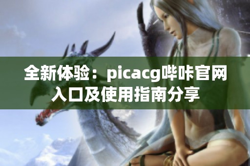 全新体验：picacg哔咔官网入口及使用指南分享