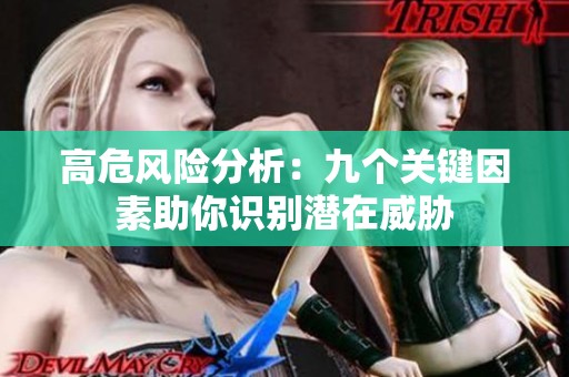 高危风险分析：九个关键因素助你识别潜在威胁