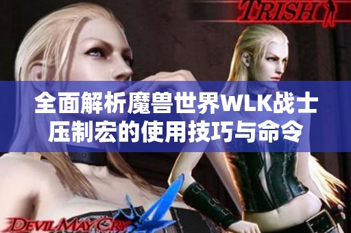 全面解析魔兽世界WLK战士压制宏的使用技巧与命令