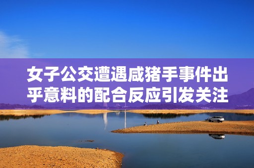 女子公交遭遇咸猪手事件出乎意料的配合反应引发关注