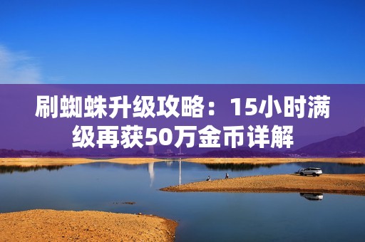 刷蜘蛛升级攻略：15小时满级再获50万金币详解