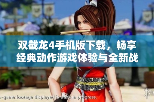 双截龙4手机版下载，畅享经典动作游戏体验与全新战斗乐趣