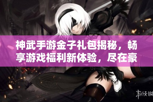 神武手游金子礼包揭秘，畅享游戏福利新体验，尽在豪兴游戏网
