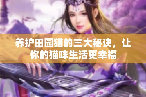 养护田园猫的三大秘诀，让你的猫咪生活更幸福
