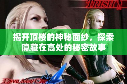 揭开顶楼的神秘面纱，探索隐藏在高处的秘密故事