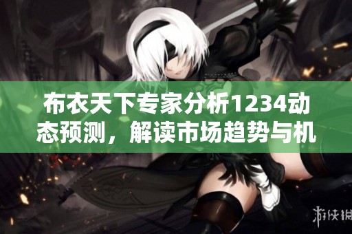 布衣天下专家分析1234动态预测，解读市场趋势与机会