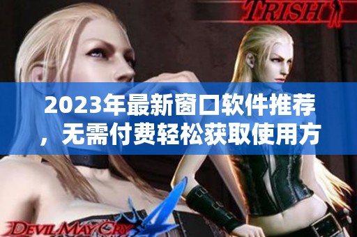2023年最新窗口软件推荐，无需付费轻松获取使用方法