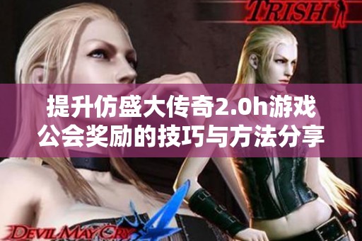 提升仿盛大传奇2.0h游戏公会奖励的技巧与方法分享