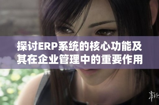探讨ERP系统的核心功能及其在企业管理中的重要作用