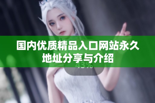 国内优质精品入口网站永久地址分享与介绍
