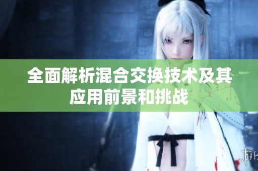 全面解析混合交换技术及其应用前景和挑战