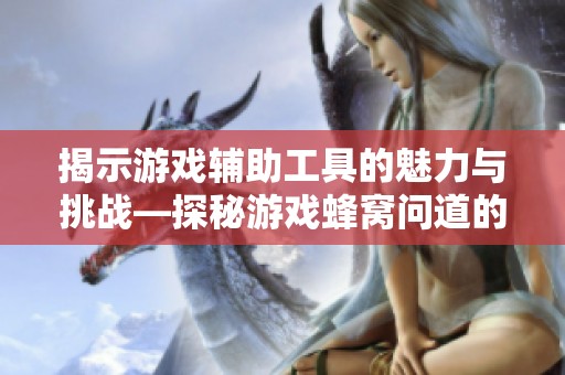 揭示游戏辅助工具的魅力与挑战—探秘游戏蜂窝问道的独特体验