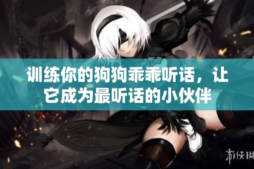 训练你的狗狗乖乖听话，让它成为最听话的小伙伴