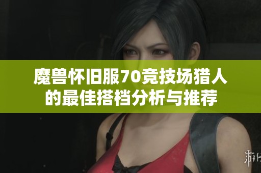 魔兽怀旧服70竞技场猎人的最佳搭档分析与推荐