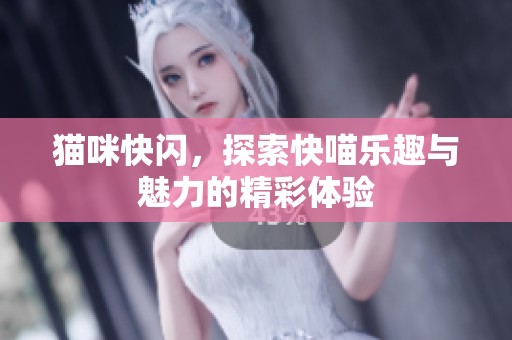 猫咪快闪，探索快喵乐趣与魅力的精彩体验