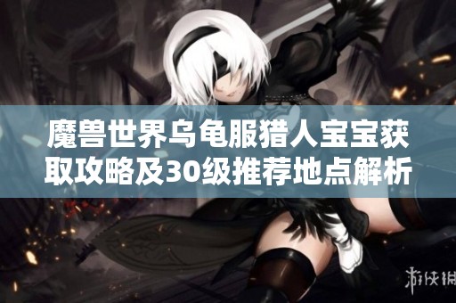 魔兽世界乌龟服猎人宝宝获取攻略及30级推荐地点解析