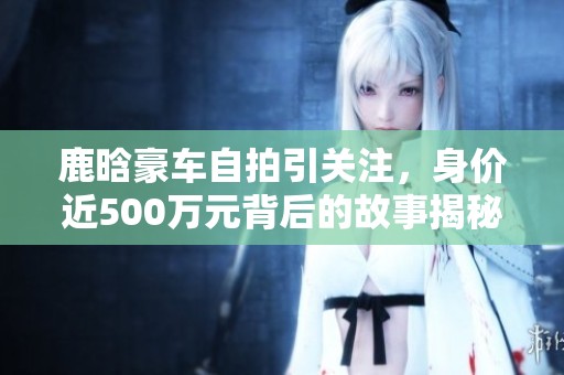鹿晗豪车自拍引关注，身价近500万元背后的故事揭秘
