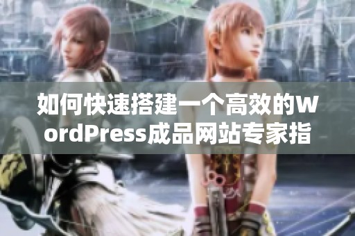 如何快速搭建一个高效的WordPress成品网站专家指南