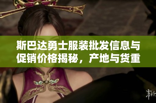 斯巴达勇士服装批发信息与促销价格揭秘，产地与货重详解