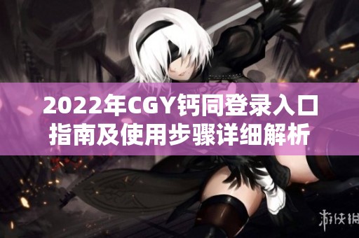 2022年CGY钙同登录入口指南及使用步骤详细解析