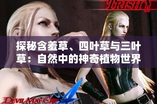 探秘含羞草、四叶草与三叶草：自然中的神奇植物世界