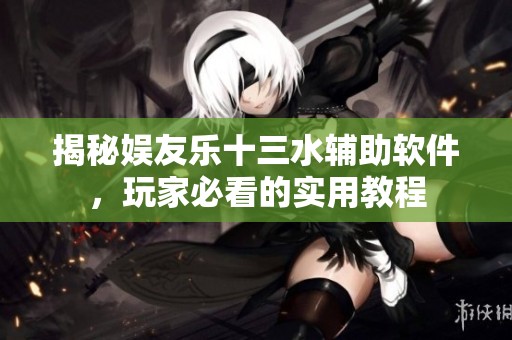 揭秘娱友乐十三水辅助软件，玩家必看的实用教程