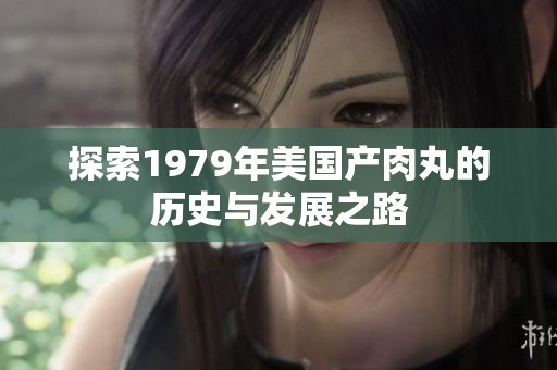 探索1979年美国产肉丸的历史与发展之路