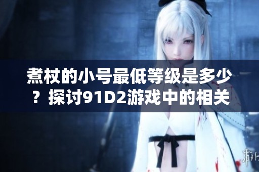 煮杖的小号最低等级是多少？探讨91D2游戏中的相关问题