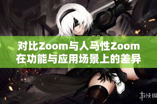 对比Zoom与人马性Zoom在功能与应用场景上的差异分析