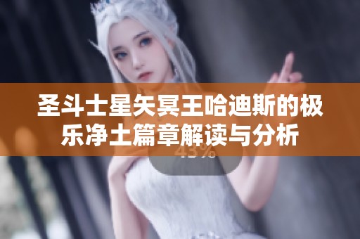 圣斗士星矢冥王哈迪斯的极乐净土篇章解读与分析