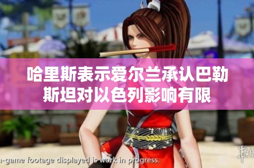哈里斯表示爱尔兰承认巴勒斯坦对以色列影响有限