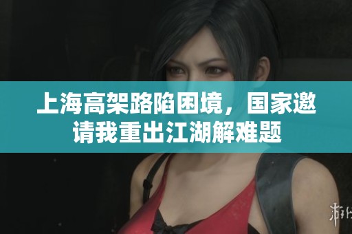 上海高架路陷困境，国家邀请我重出江湖解难题
