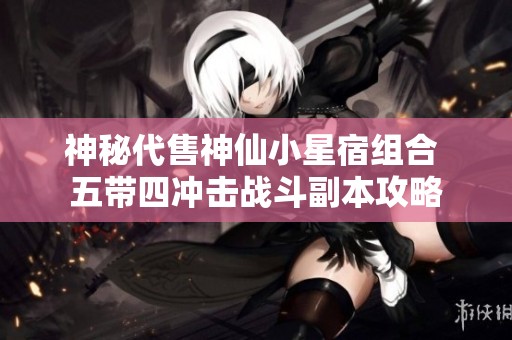 神秘代售神仙小星宿组合 五带四冲击战斗副本攻略
